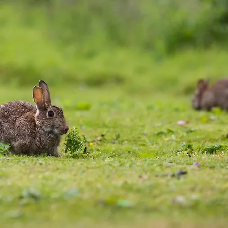 Yorkshire Dales 11 By Together Travel - 3-bed Premium Ensuite Semesterbostad *