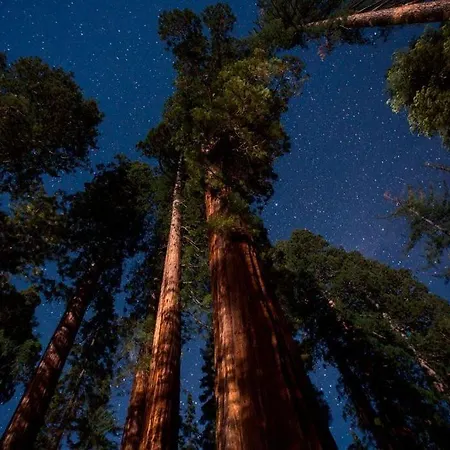 Yorkshire Dales 11 By Together Travel - 3-bed Premium Ensuite Semesterbostad Richmond (North Yorkshire)